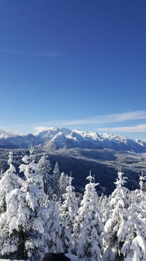 Kalvarienberg Appartement Gosau Buitenkant foto
